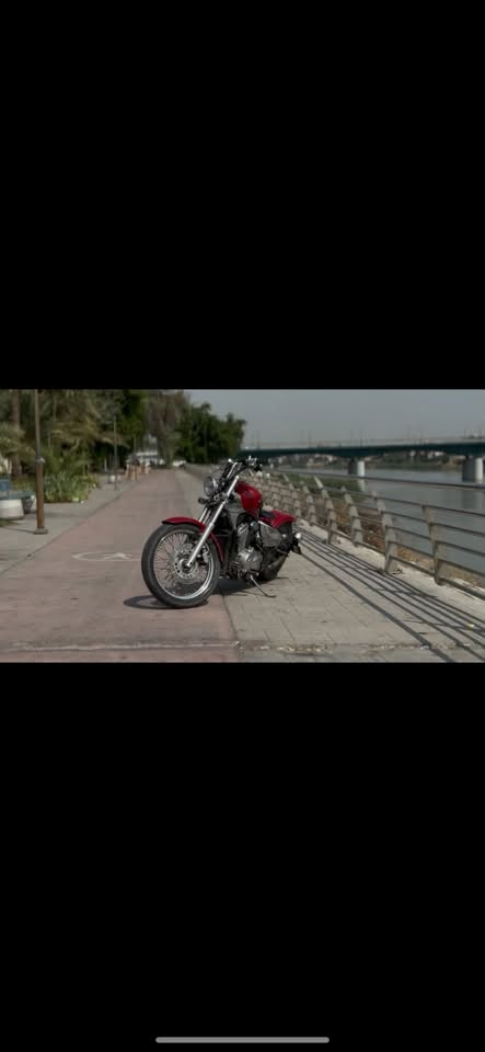 هارلي • كوستم • ببر