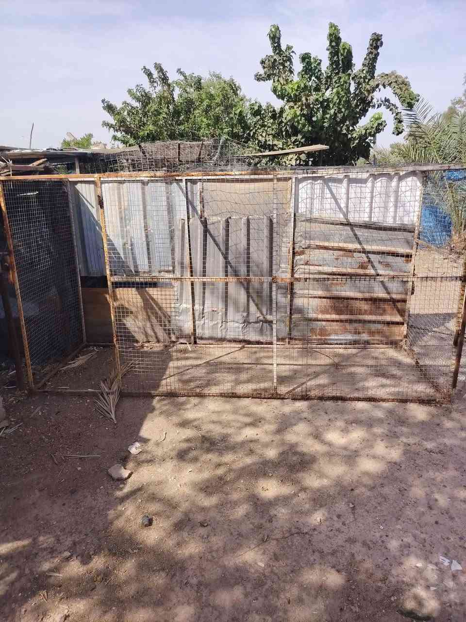 قفص • عدد ٢ • الدور مجمع السكني