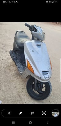 فراشة • شغاله • شارع 100