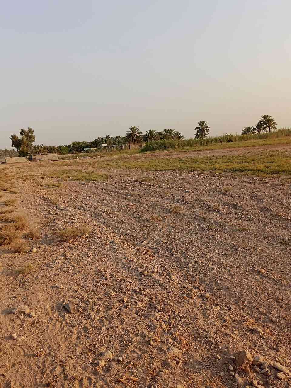 العامرية الأسود • ١٢دونم • طابو زراعي