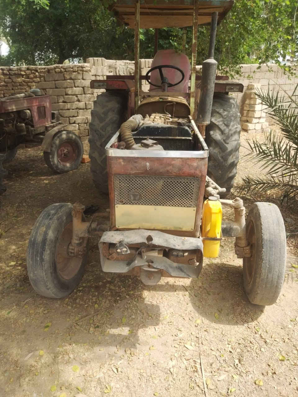 عنتر بدون للبيع في قظاء المشخاب السعر ٣ مليون ***********
