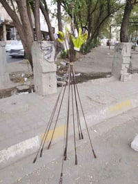 فتح مجاري • اسطى اياد • ددسن