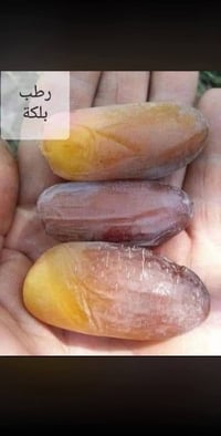 فسائل • كربلاء • توصيل المحافظات