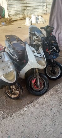 سكنس • منغولي • عدد٢