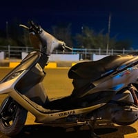 ثعلب • ١٤٠ • كفاله