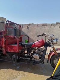ستوته • سلطان • ٢٠١١