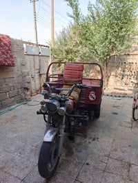 ستوته • كربلائية • اوراق