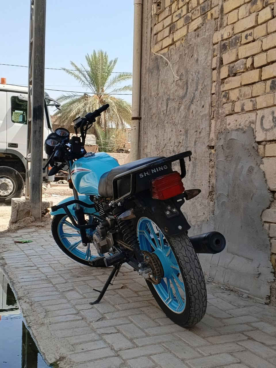 شاينك • ٢٠٢٣ • طالعة ٢٠٢٥