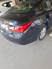 سوناته • ٢٠١٣ • وارد امريكي
