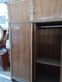 كنتور بابين • حجم كبير • نضيف