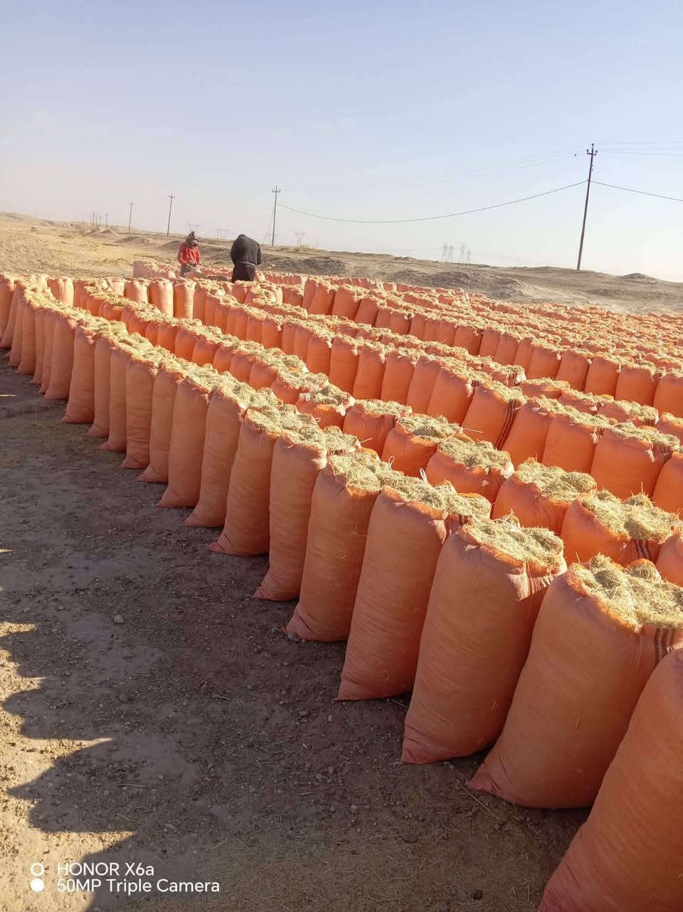 السلام عليكم تبن ترس فول درجه اولى راسكم            أبو60 الزوج ب 2500 مطروح بالمكان التواصل عندنا خدمه توصيل باجره كل المحافظات على الهاتف ***********  /***********ويوجد خدمة توصيل أجرة بغداد وديالى

نص مكتوب في الصور:
- O HONOR X6a
- 50MP Triple Camera