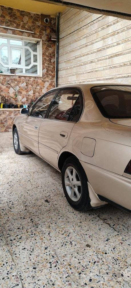 السلام عليكم تيوتا كورلا 1994 فول لمتد  تبريد شغال كير مكينه بدايه تبخير طخم امامي خلفي كلو مع دبلات طخم جديد  تايرات نظيف   بدون صبغ نهائي بدون ضرر بدون خياس سيارة وضع شركه قفل مركزي اربع جامات كهرب غرفه جديدة سنويه 2028 اني شرعيها منظومه لايت زينون كهربائيات كلها شغاله السيارة حيل مرتبة السعر 65  وبيها مجال قليل  

***********  (غير متواجد عالفيس )
