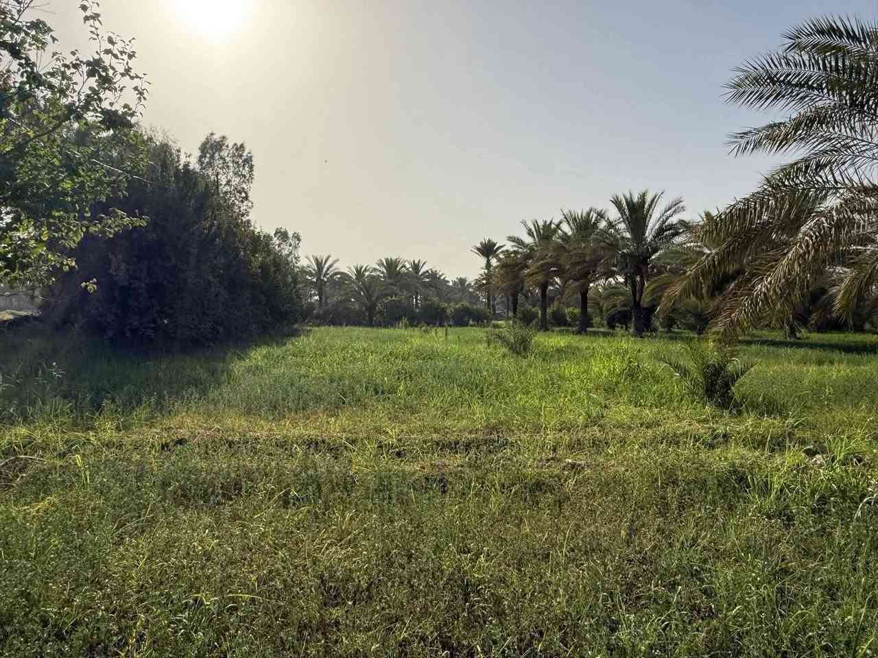ارض للبيع طابو زراعي بسمي المساحه دونم

كافه الخدمات مدارس وماء اساله وكهرباء
وشارع مبلط 15متر للباب الارض وثاني يوم احولك بسمك
قريبه جدا ع شارع كربلاء نجف
*********** 
الجميع @
