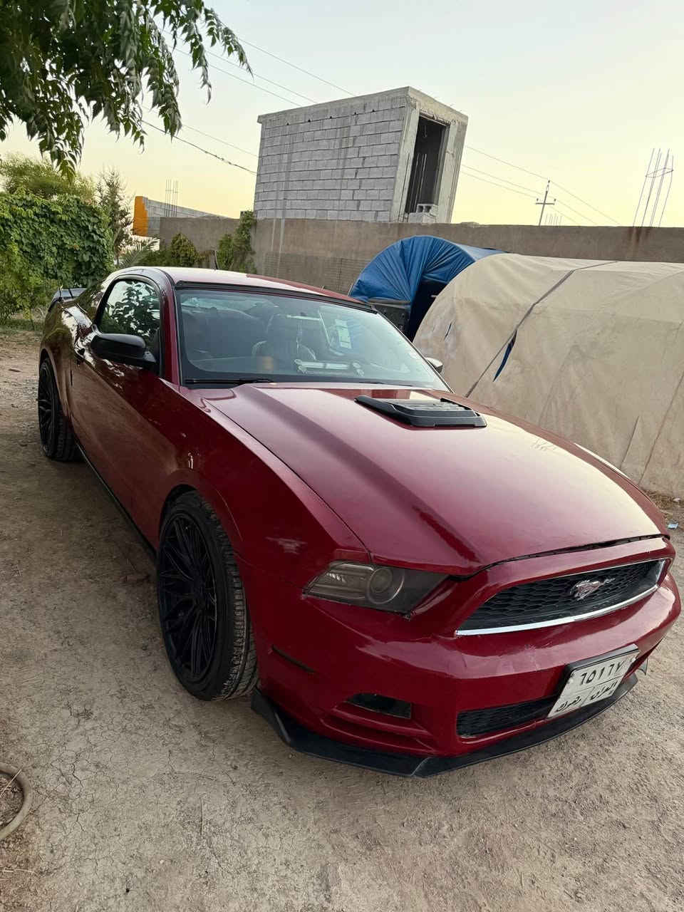 موستانك موديل 2010 بشتو بيشي كراوه ته 2014 سياري زور خاوينو جوانو بي كيشه يه گيرو مه كينه ي به شه رته 11 وه ره قه غرامه ي له سه ره ساحيبي له ده ره وه يه وه كاله ي له كه له ده تاني وه كاله ي ته سديق بكه يه وه به ناويش بكه ي به لام من به اوليات ده فروشم سعري 70 وه ره قه و مه جاليكي كه مي تيدايه گورينه وه ش ده كم به دوج ئوباما رانج موديل 2011 هه تا 2014 رانجه كه ش مودين 2005 تا 2008 كيشه م نيه  گه ر موشته ري ني سه رمان مه هيشينه *********** واتساب أربيل, العراق
