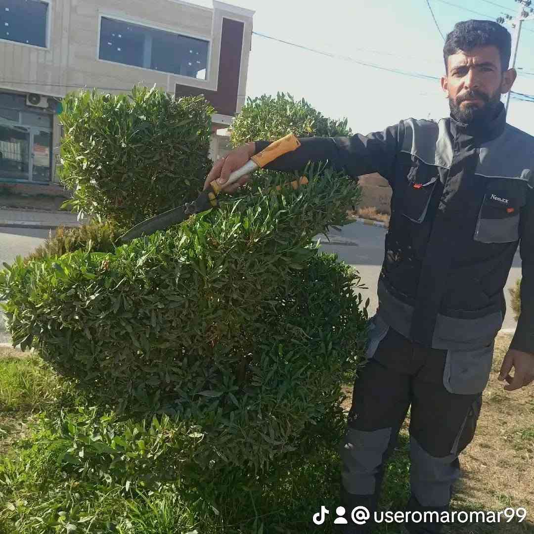 تقليم شجر • ديكور حدائق • القائم