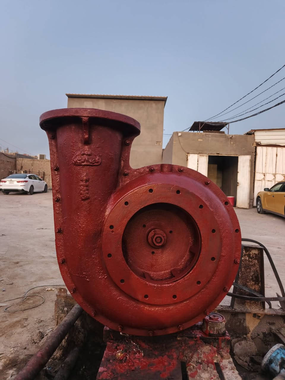 خنزيرة • فايق الدجيلي • ١٢×١٠