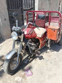 ستوته • داي وان • فحل