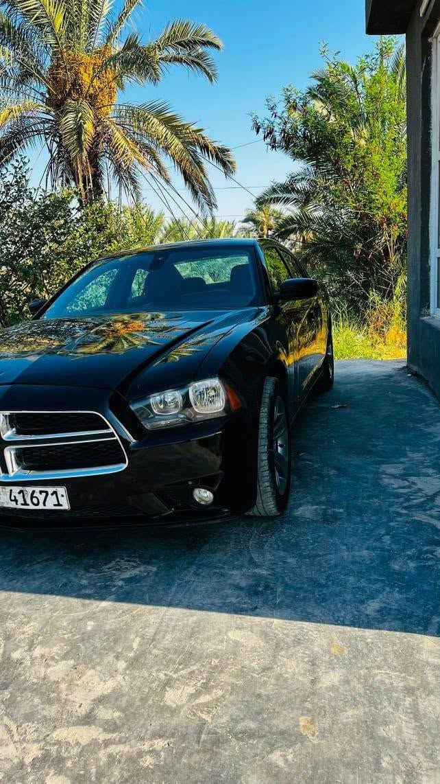 للبيع جارجر 13 صبغ حزام بدون دواخل بسم عربي تحويل ثاني يوم سعر 105 بيه مجال مراوس حسب القناعه مكان سياره بابل شراي ينتصل مكلف بنشر ***********

