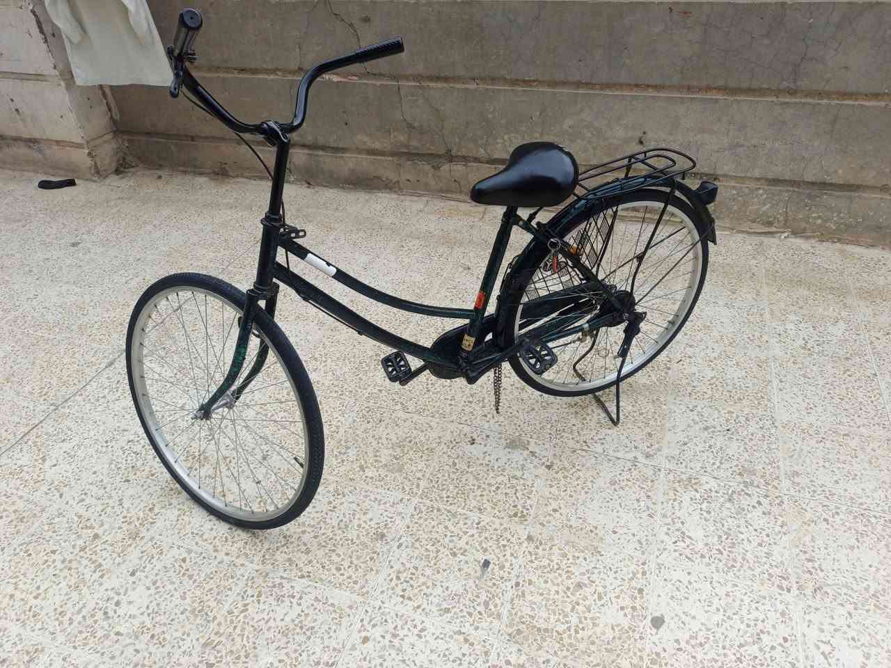 بايسكل 26 • ياباني • يخبل