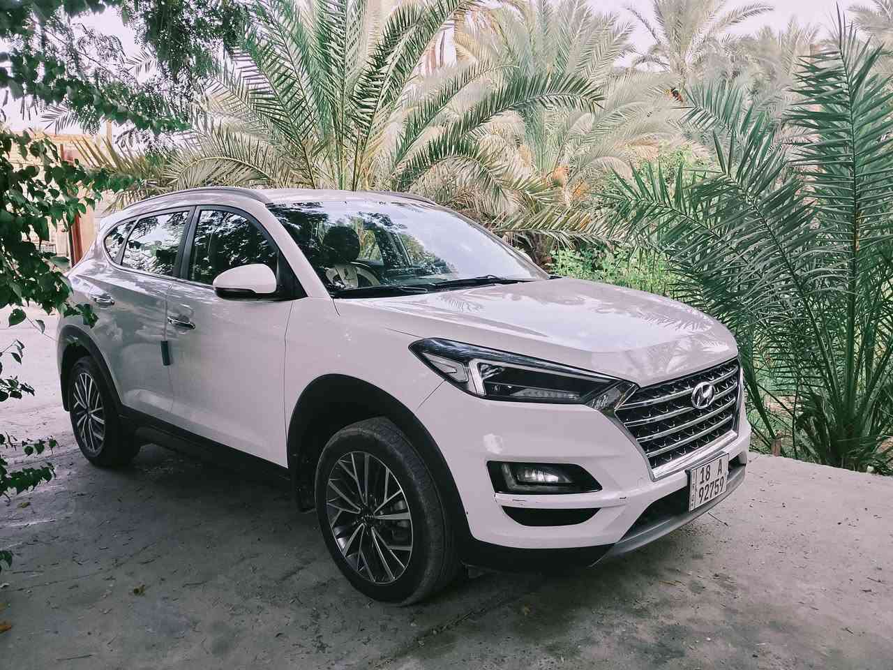 للبيع او المراوس   توسان 2019 مكفولة عدة الدعامية الأمامية بيهة صبغ  وبيهة مكانين بارد كلش بصيط سيارة جديدة كلش رقم بابل دولي   وكلشي مذكور بلسونار.  ***********.   السعر 183. بيهة مجال قليل  مكان كربلاء الحسينية
