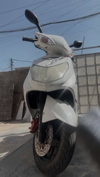 سكنس فحل للبيع مكاني بغداد المشتل كابريتر دراجه نضيفه اوراق موجوده الس...