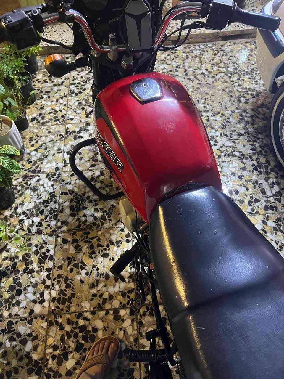 بوكسر للبيع 22موديل رقم سنويه بغداد الكراده السعر مليون 800بيه مجال بصيط دراجه شوفت عينك رقمي ***********
