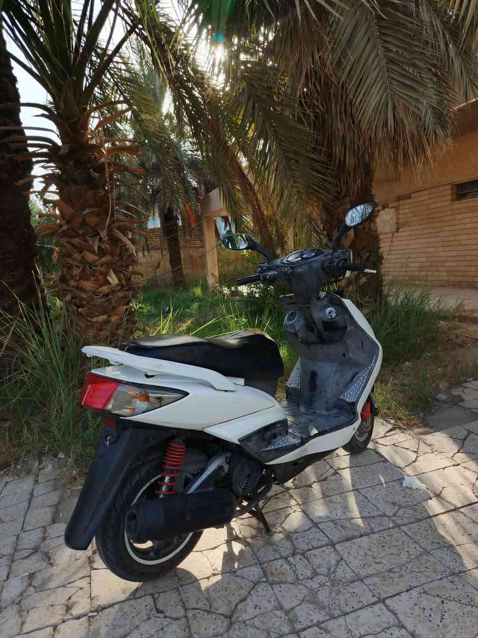 سكنس فحل كوري نوزل خطين الدراجة خير من الله مكينة بلاد ممفتوحة كفرات مختمة ختم واحد الدراجة بلادية مكينة ناعمة شلعة ومعدل بس الضوة مال دشبول ميشتغل الباقي كلة شغال كهربائيات والدراجة بكل وكت بصمة نكرة سلف مكاني بغداد الحسينية تقاطع الجريخي السعر 900 وبيها مجال تواصل *********** واتساب فقط
