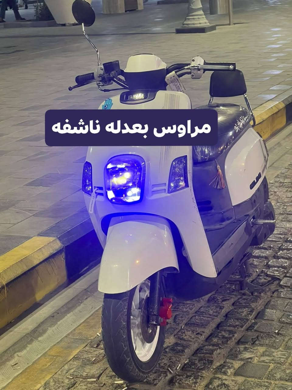 مراوس • ناشف • بصرة