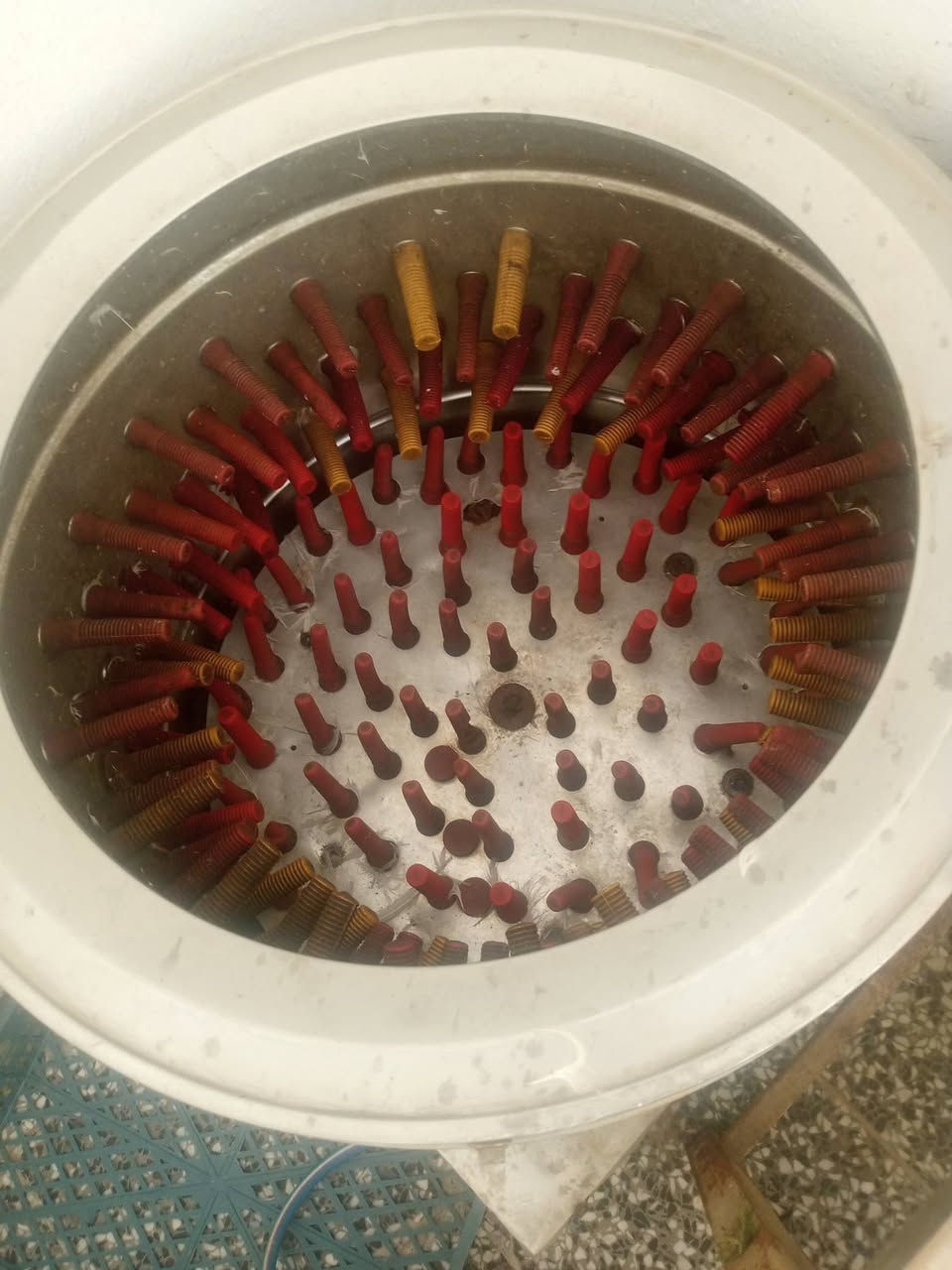 مجزرة دجاج للبيع
هلاسة 
سنك 
تانكي مي 
طباخ 
ميزان 
قفص دجاج حديد 
مبردات ثنين 
مفرغة 
إضافة إلى ملحقات إضافية
***********
