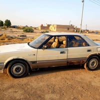 البيع هارتوب 91  راعي يريد مداور السعر ١٩وبيه مجال 07829755849