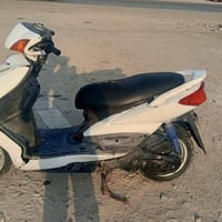 سكنس فحل • كابريتر • اوراق كامله