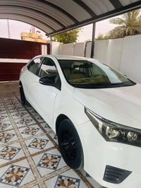 كورله خليجي للبيع للاستفسار 07747384254