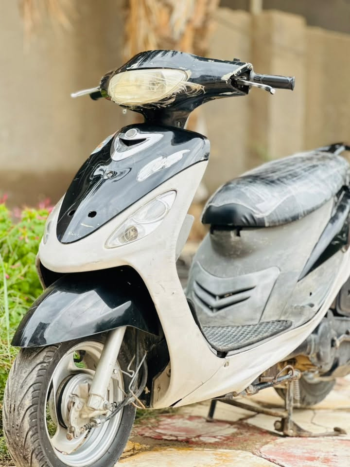 ماكس • نضيفة • مكفولة