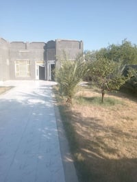 دونمين زراعي • وجه ٣٣م • تجاري