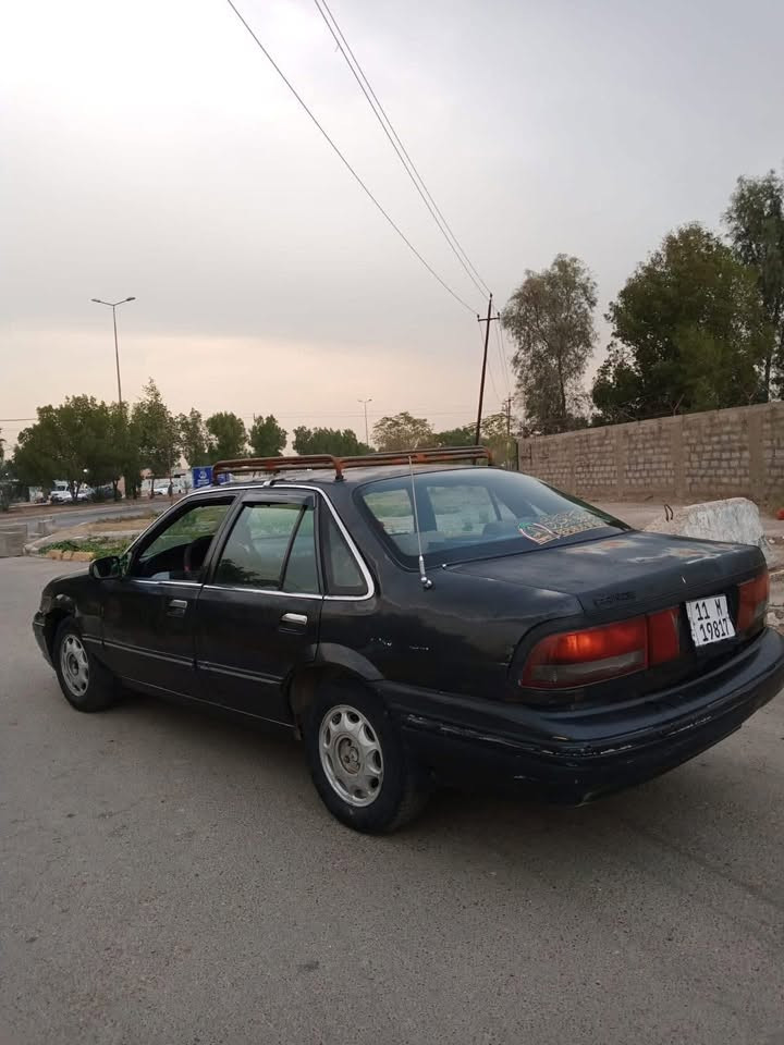 برنس • ١٩٩٥ • الدورة