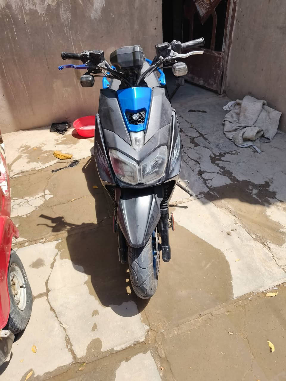 سكنس جبلي حديث سعر مليون 750  ماشيه 23الف
مكاني بغداد بسمايه
رقم هاتف ***********
