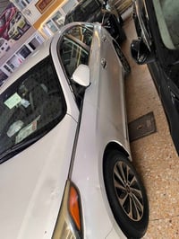 فورتي • بدون صبغ • رقم بغداد