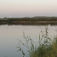 بحيرة اسماك 5 دونم للبيع مجازه رسميا جنس الارض طابو سند 25 العنوان الي...