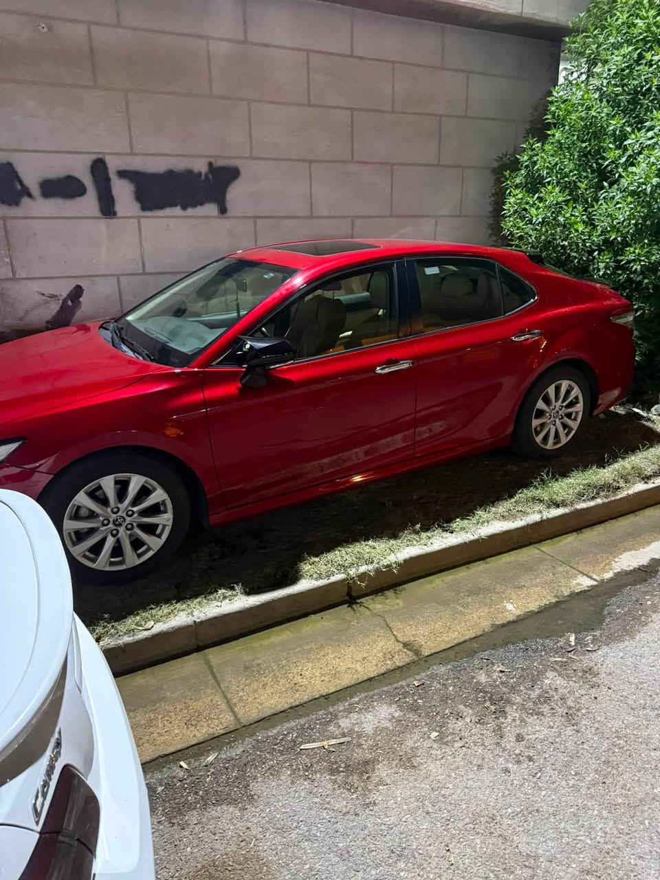 السلام  عليكم كامري 2020 خليجي وكالة SAS ماشية 84000
اللون احمر والسونار مرفوق وي الصور 
مواصفات GLE فول مواصفات اعلى فئة بالخليجي 
السيارة صار بيها ربع باب من جوة وربع داير جاملغ خلفي صبغ 
وعندك بالصفحة الثانية صار بيها بارد بالباب والهلال الخلفي 
واكو صور موجودات توضح التعديل اللي صار عليها 
السعر 18000 وبيها مجال للشراي 
رقم الهاتف ***********

فقط بيع بدون مراوس رجاءً
