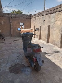 نضيفه • شغاله • بلاعيوب