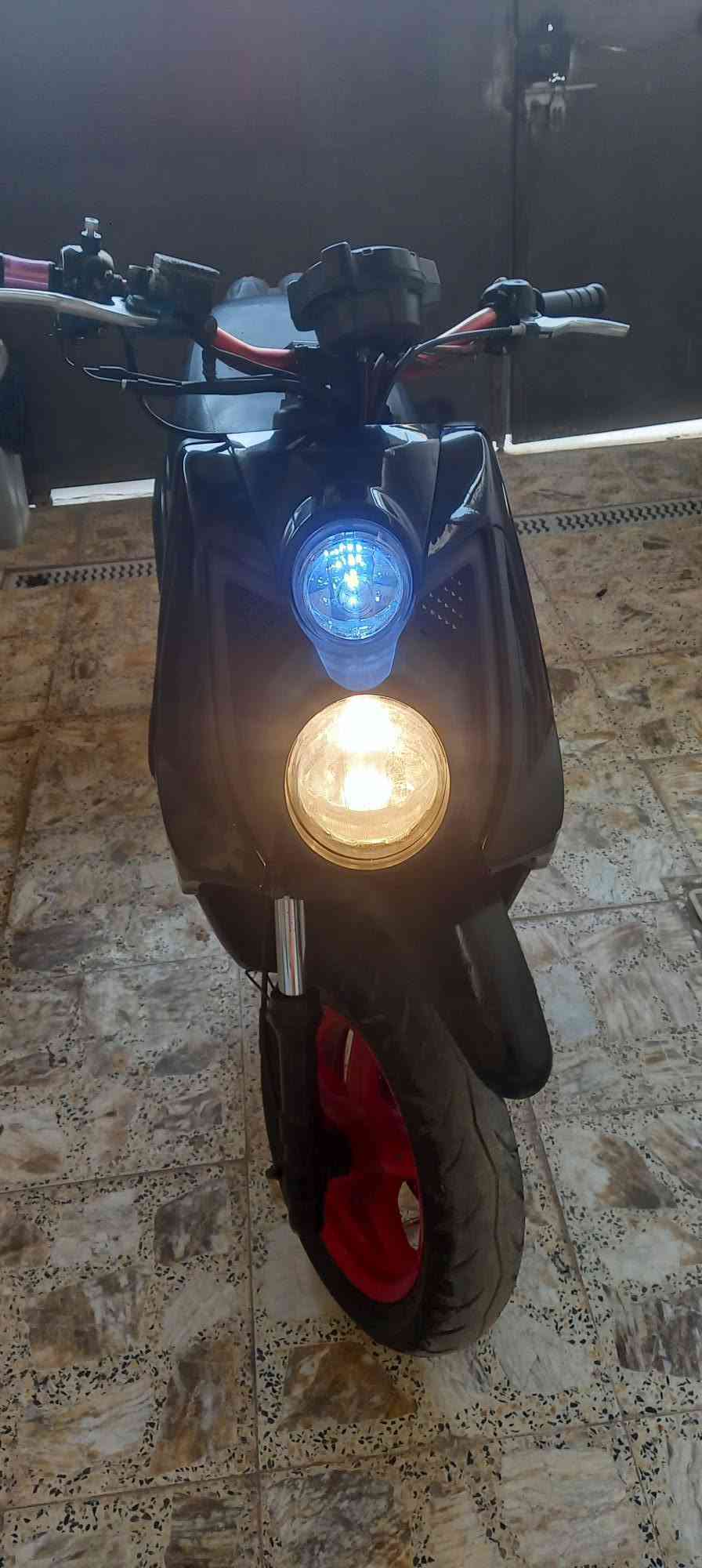 سكنس جبلي • جديده • مكفوله