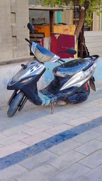 ماكس عدلة