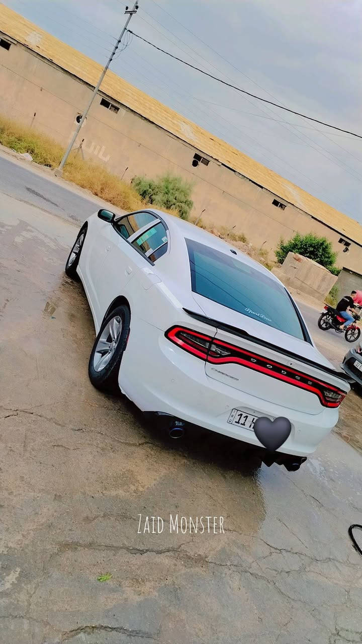 جارجر خليجي • ٢٠١٩ • رقم بغداد