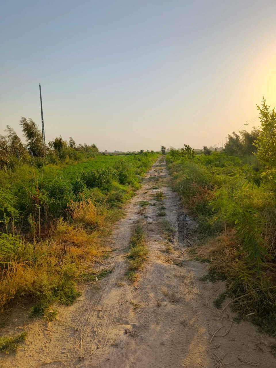 للبيع بستان دونمين على الشط على صدر المغيشي وعلى شارعين  البستان مسيج بي ار سي بالكامل ومزروع اكثر من 100 نخله مختلف الانواع مكتوم وبريم وشويثي وستعمران بالاظافه اشجار تين ومزوع جت يسقي من الشط مباشر مع كرفان بطول 12 متر 
‏‪***********‬‏
***********

نص مكتوب في الصور:
- المطاعم
- معالم الجذب السياحي
- وقود
- شارع ال حبتر
- شارع الشط
- شط الغراف
- نهر المغيشي