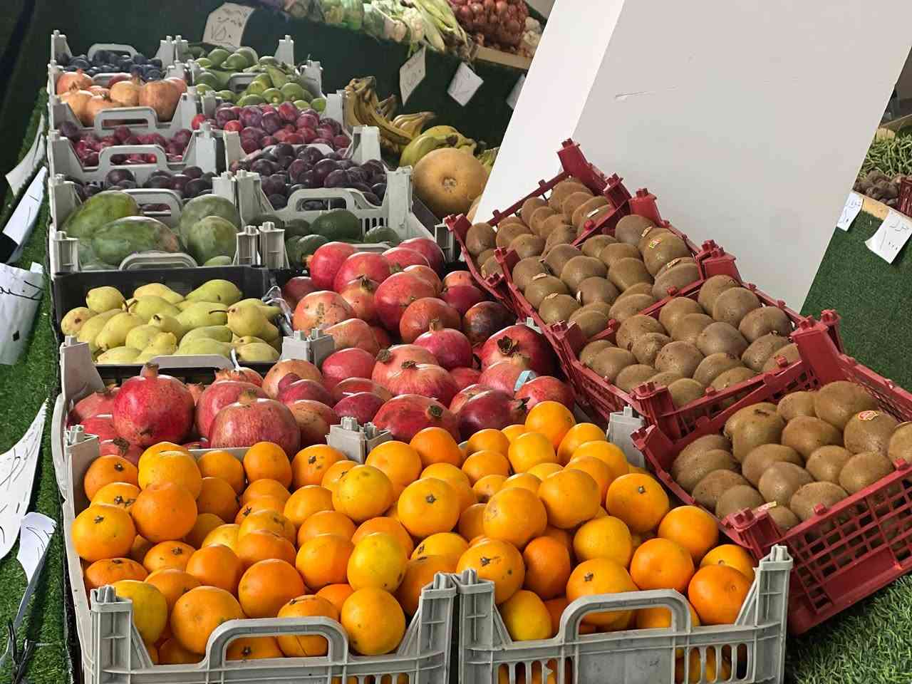 عروض وخصومات • توصيل • الدوانم