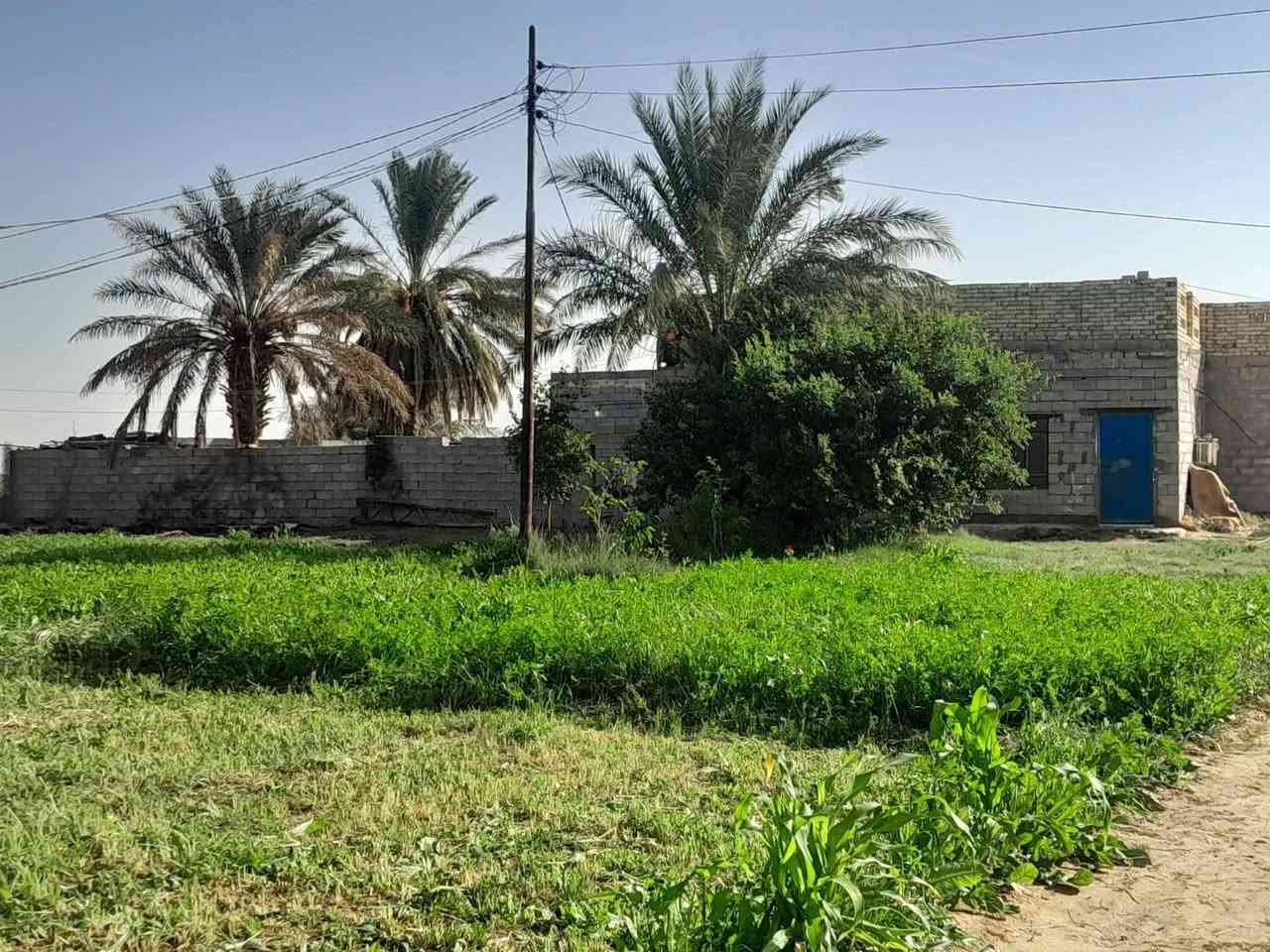 بسم لله الرحمن الرحيم 
گاع للبيع سبعه دونم + بيت يتكون من غرفتين وصاله ومطبخ واستقبال  + بستان  + محصار حلال  البيت جاهز للسكن في ذي قار قضاء الشطره  البدعة  طريق ال سيد حمد ( منطقة ال حشيش )قرب مدرسة الخمائل الابتدائية  السعر 45 
للاستفسار الاتصال على الرقم (( *********** )) 
غير متواجد على الفيس بوك

