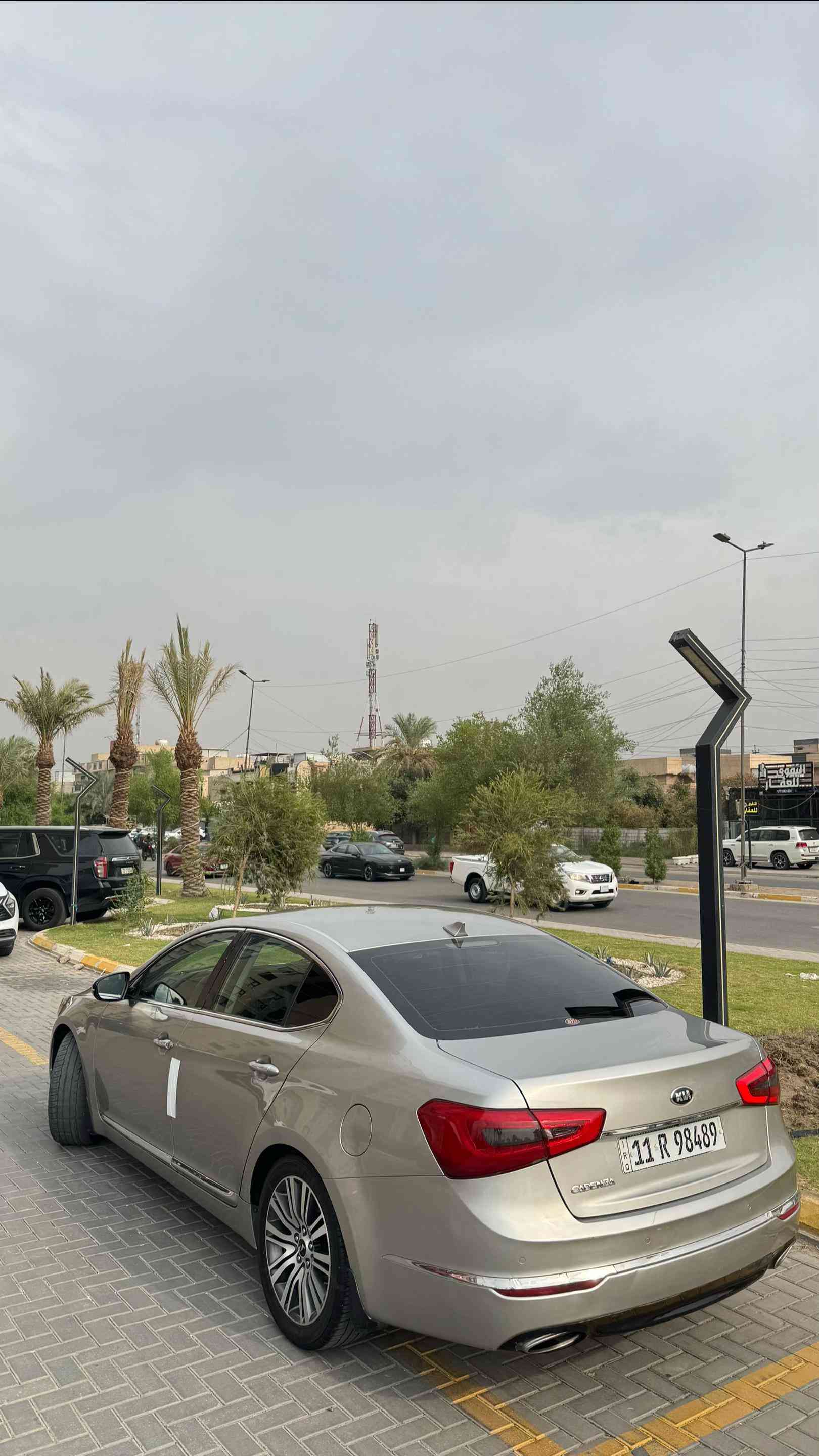 كادينزا • ٢٠١٤ • وارد امريكي