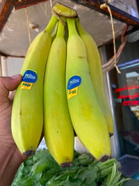 مسواك اليوم فريش جديد توصيل مجانا07719815279 طماطه 500 بطاطا 1000 خيار...