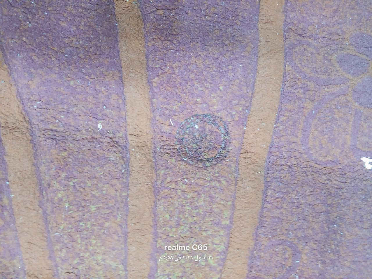 السلام عليكم 
زوليه تركي 
الطول 3
العرض 2
السعر 25
التواصل ***********
المكان بغداد حي اور

نص مكتوب في الصور:
- realme C65
- ٢١ أيلول ٢٠٢٦ في ٠٥:٥٨ م
- realme C65 21 أيلول 2026 في 5:08 م