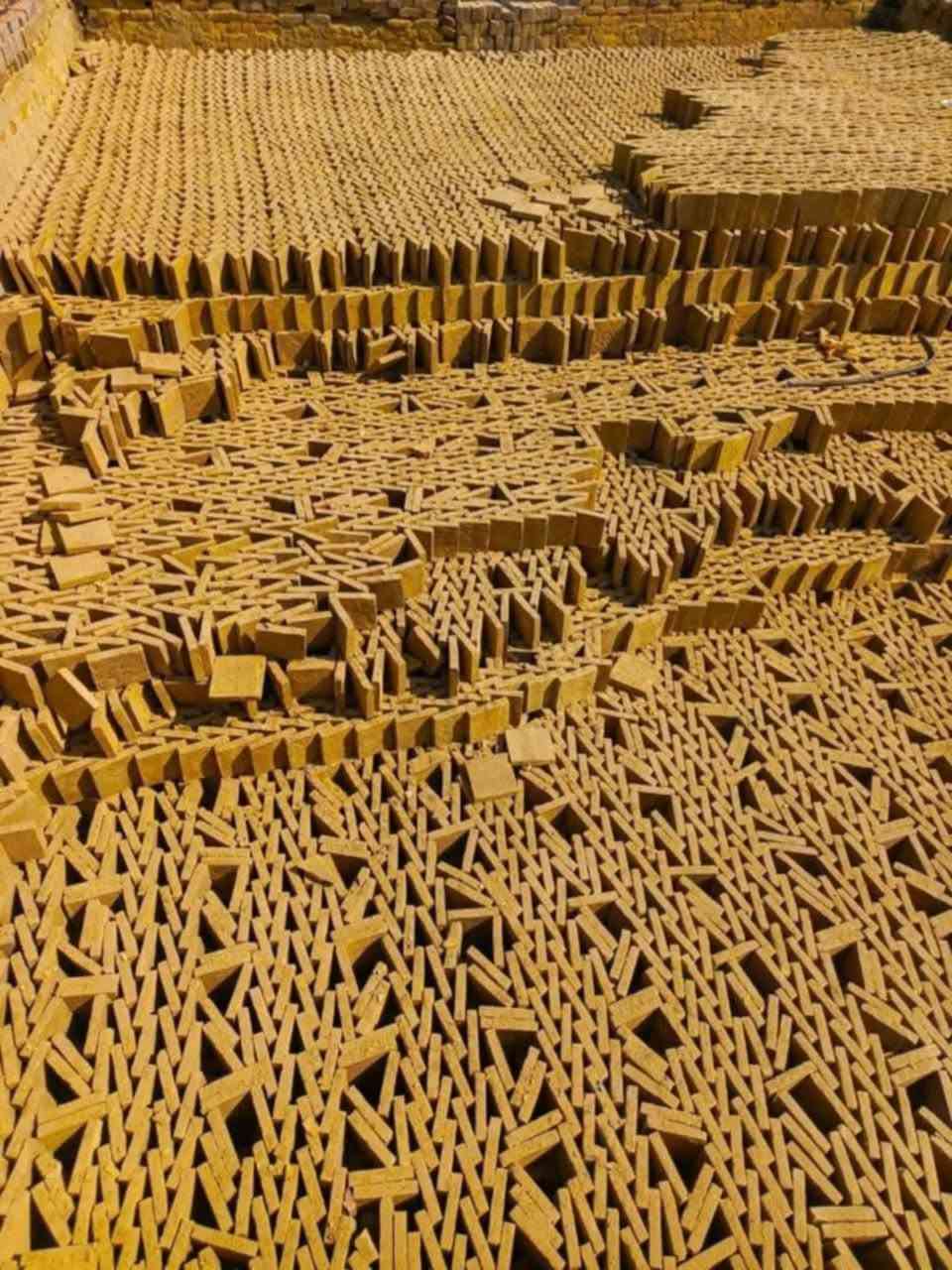 السلام عليكم فرشي خضراوي دراجه أولى شرط القوى والعداله والمكلاب وتوصيل لجميع المحافظات للأستفسار  ‏‪***********‬‏
